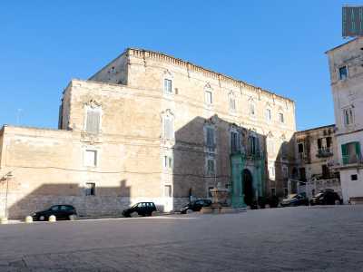 La costruzione sorge sull'omonimo largo e fu voluta dai Palmieri, ricca famiglia di origine francese che si stabil� in Puglia nel 500